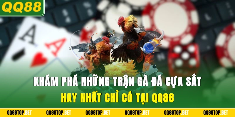 Những Trận Gà Đá Cựa Sắt Hay Nhất